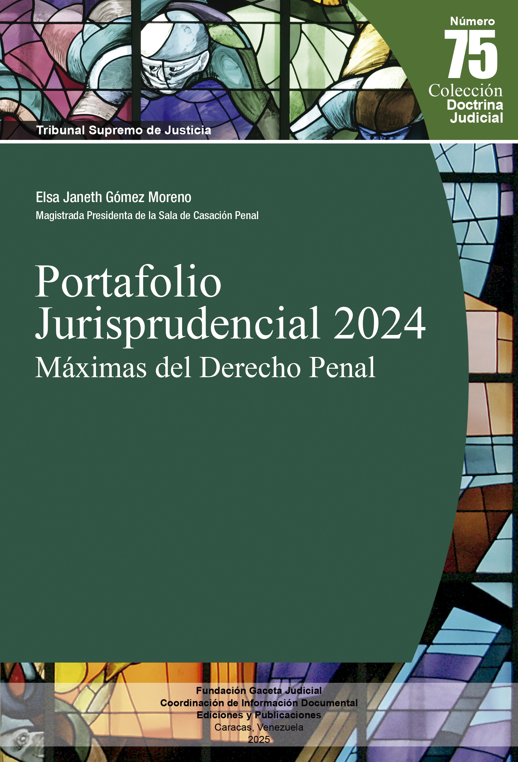 Sinopsis libro Portafolio Jurisprudencial 2024. Máximas del Derecho Penal